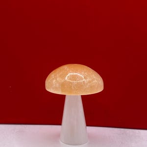 Selenite mushroom, crystals, mushroom decorations, chakras, energy work