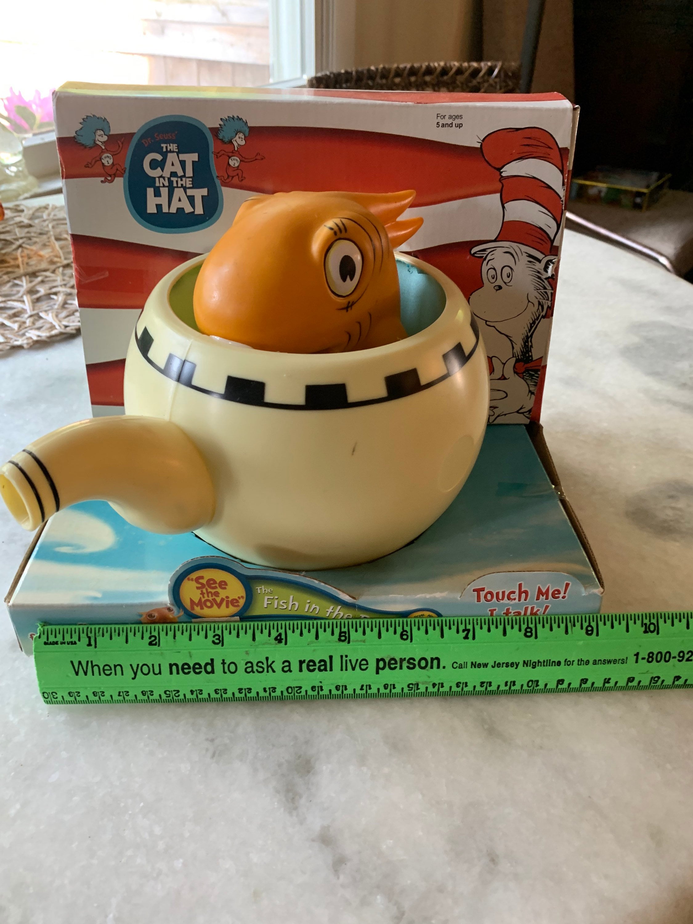 The Fish in the Pot Cat in the Hat Says Five Phrases Etsy