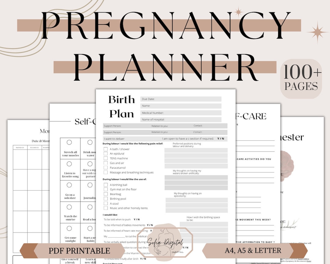 Pregnancy Planner, Printable Planner, Digital Planner,goodnotes ...
