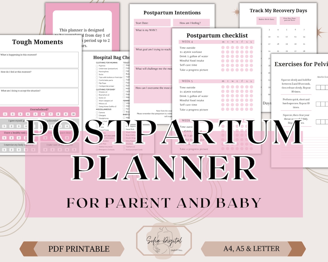 Postpartum Planner Checklists and Journal, New Mom Journal,newborn Log ...