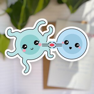 Immune Cells Vinyl Sticker | Immunology Puns | Perfect Gift for PhD Students, Scientists & Researchers | Laptop, Notebook, Water Bottle
