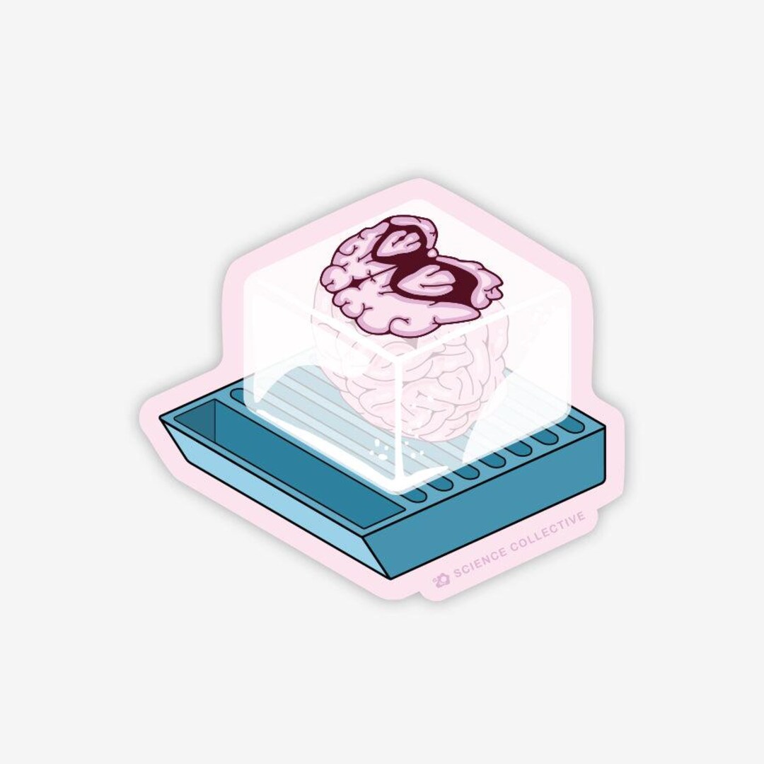 Histology Sticker | FFPE Brain Tissue | Neuroscience, Neurology ...