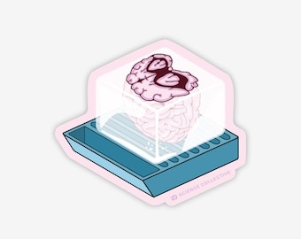 Histologi-klistermärke | FFPE-hjärnvävnad | Neurovetenskap, neurologi, patologi