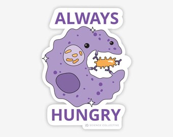 Always Hungry Sticker