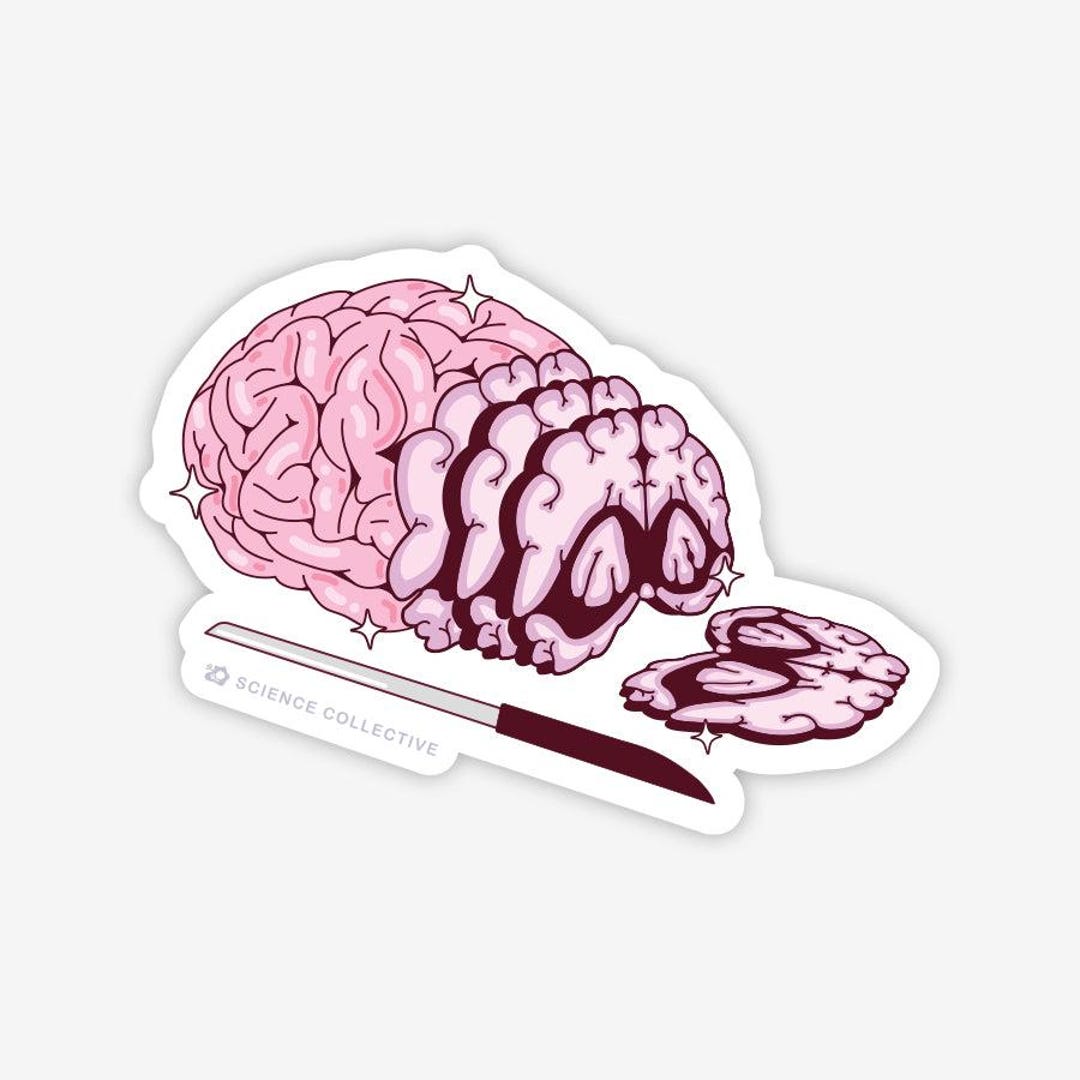 Neurology Sticker Brain Slice Vinyl Sticker | Neuroscience, Brain Pathology, Neurology - Etsy