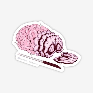 May include: A sticker featuring a pink brain sliced with a knife. The brain is cut into several sections, with a few slices separated. The knife has a dark brown handle and the text "SCIENCE COLLECTIVE".