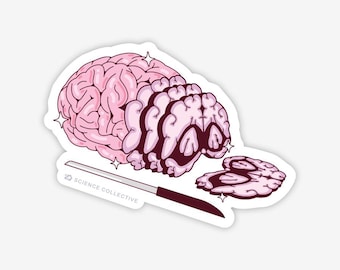 Hjärnskiva vinylklistermärke | Neurovetenskap, hjärnpatologi, neurologi