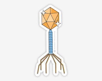 Bacteriophage Sticker | Virology sticker for virologists