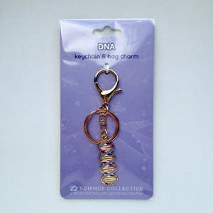 Puede incluir: Un llavero y colgante para bolso de metal en tono oro rosa con forma de ADN, que presenta un dije de doble hélice con rayas de esmalte de colores. El artículo está sujeto a una tarjeta de presentación violeta claro con el texto DNA keychain & bag charm y Science Collective.