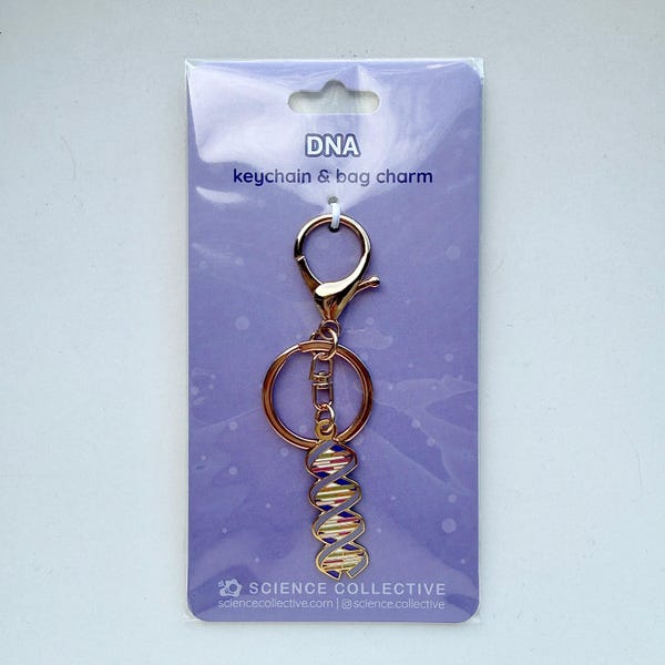 DNA Metal Keychain | Gift for Biologist, Biochemist, Biology Teachers, Laboratory Scientists