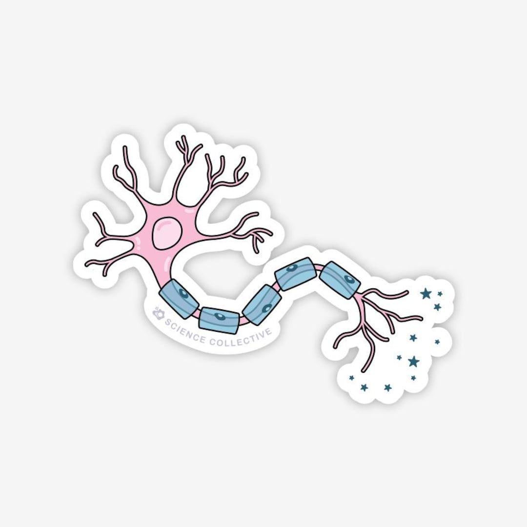Neuron Sticker | Pink Neuroscience Sticker for Neuroscientists ...