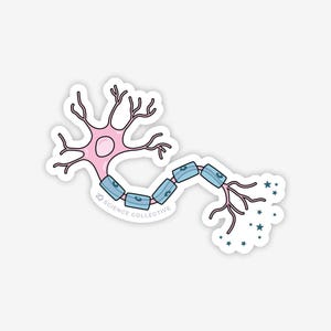 Neuron Sticker | Pink neuroscience sticker for neuroscientists, neurologists, and brain enthusiasts