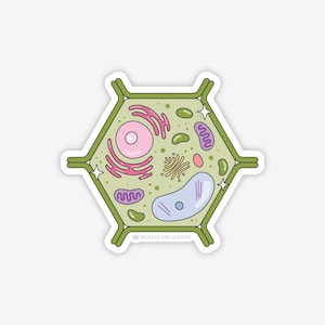 ScienceCollective - Etsy