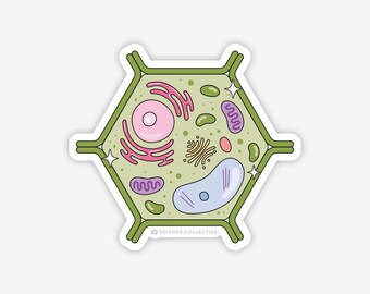 Pegatina de célula vegetal / Pegatina de biología vegetal