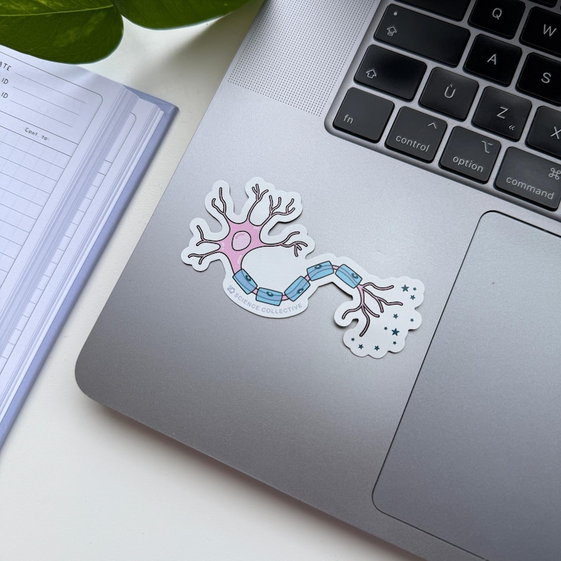Edible Neuron Sticker Neuron Sticker | Pink Neuroscience Sticker for Neuroscientists ...