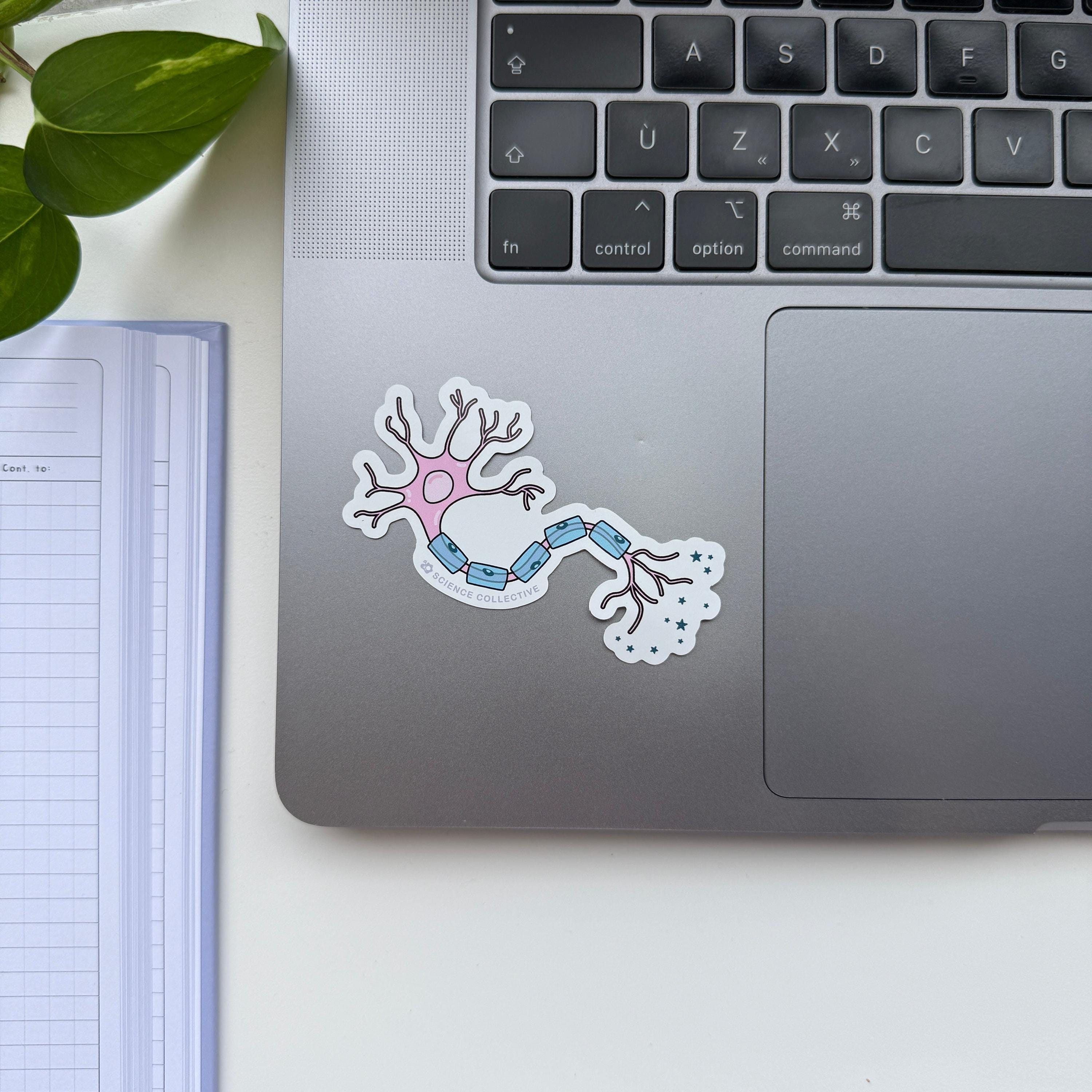 Edible Neuron Sticker Neuron Sticker | Pink Neuroscience Sticker for Neuroscientists ...