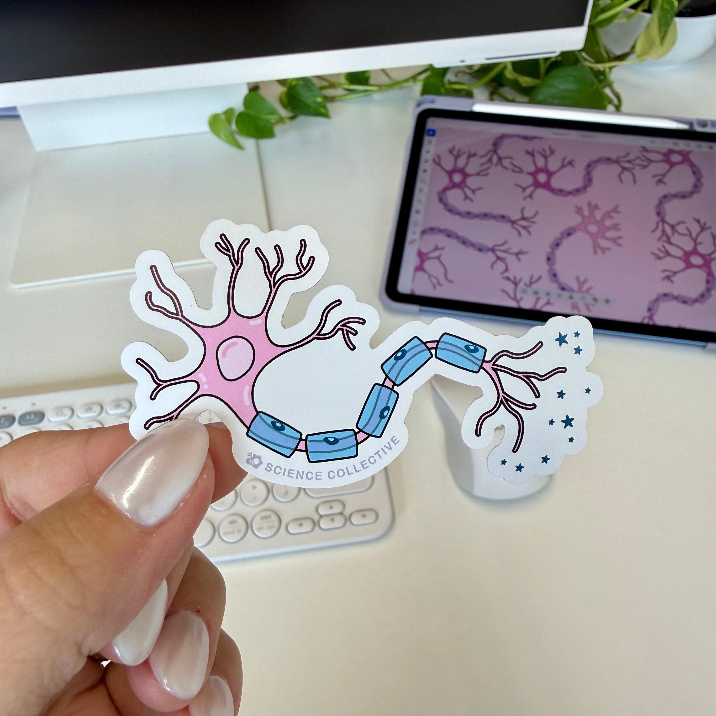 Neuron Sticker | Pink Neuroscience Sticker for Neuroscientists ...
