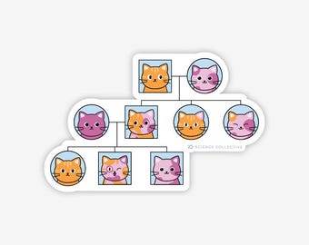 Pegatina de pedigrí genético para gatos