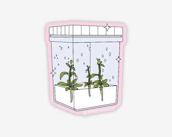 Pegatinas para recipientes de cultivo de plantas / Pegatinas de biología vegetal