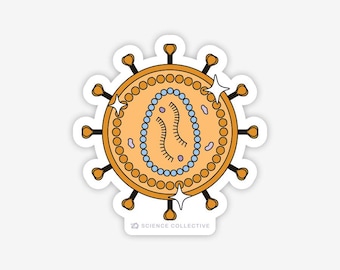 Lentivirus Sticker | Virology sticker for virologists and microbiologists
