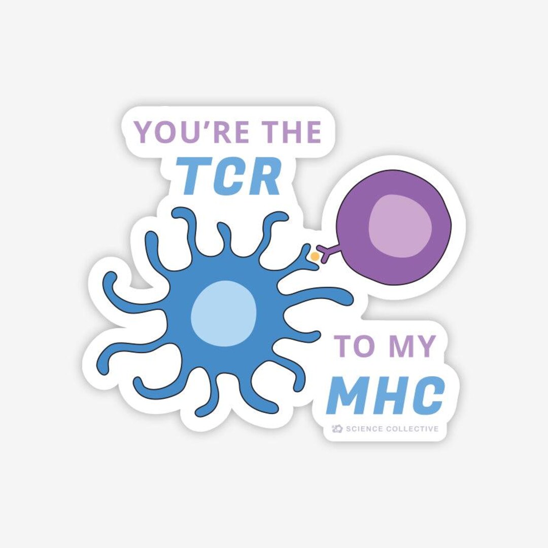 Mhc Stickers Sticker You're the TCR to My MHC Sticker | Immunology Sticker for Immunologists ...