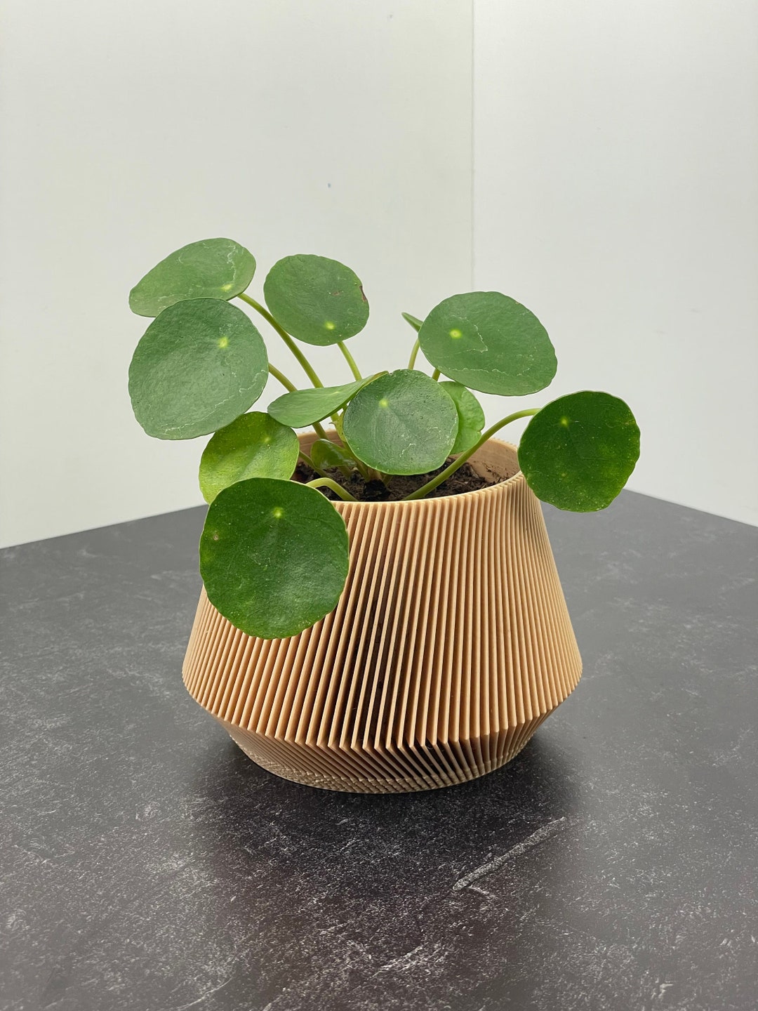 Indoor Wood Planter PRANA Japandi Design 3D Printed Flower Pot, Great