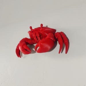 Decorazione murale a forma di granchio 3D: granchio che esce dal muro. Il granchio sta visitando la tua casa. Decorazione oceanica incredibile. Decorazione per il bagno. Non è un foglio di carta piegato o