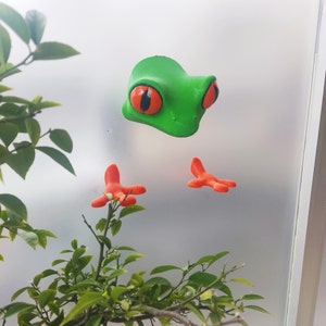 May include: A green frog with orange feet and large orange eyes is attached to a frosted glass surface.