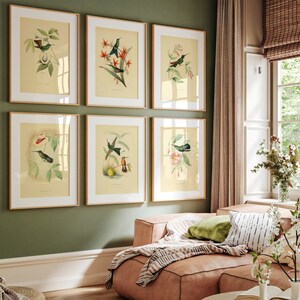 Vintage Bird prints, Juego de 6 pájaros arte de pared, Póster de colibrí, Póster antiguo, Arte de pared vintage, Conjunto de 6 pájaros victorianos Arte