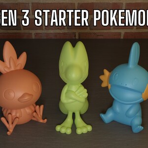 May include: Three starter Pokémon from Generation 3: a fire-type, a grass-type, and a water-type. The fire-type is orange with a flame-like crest. The grass-type is green with a leaf-like crest. The water-type is blue with a fin-like crest.
