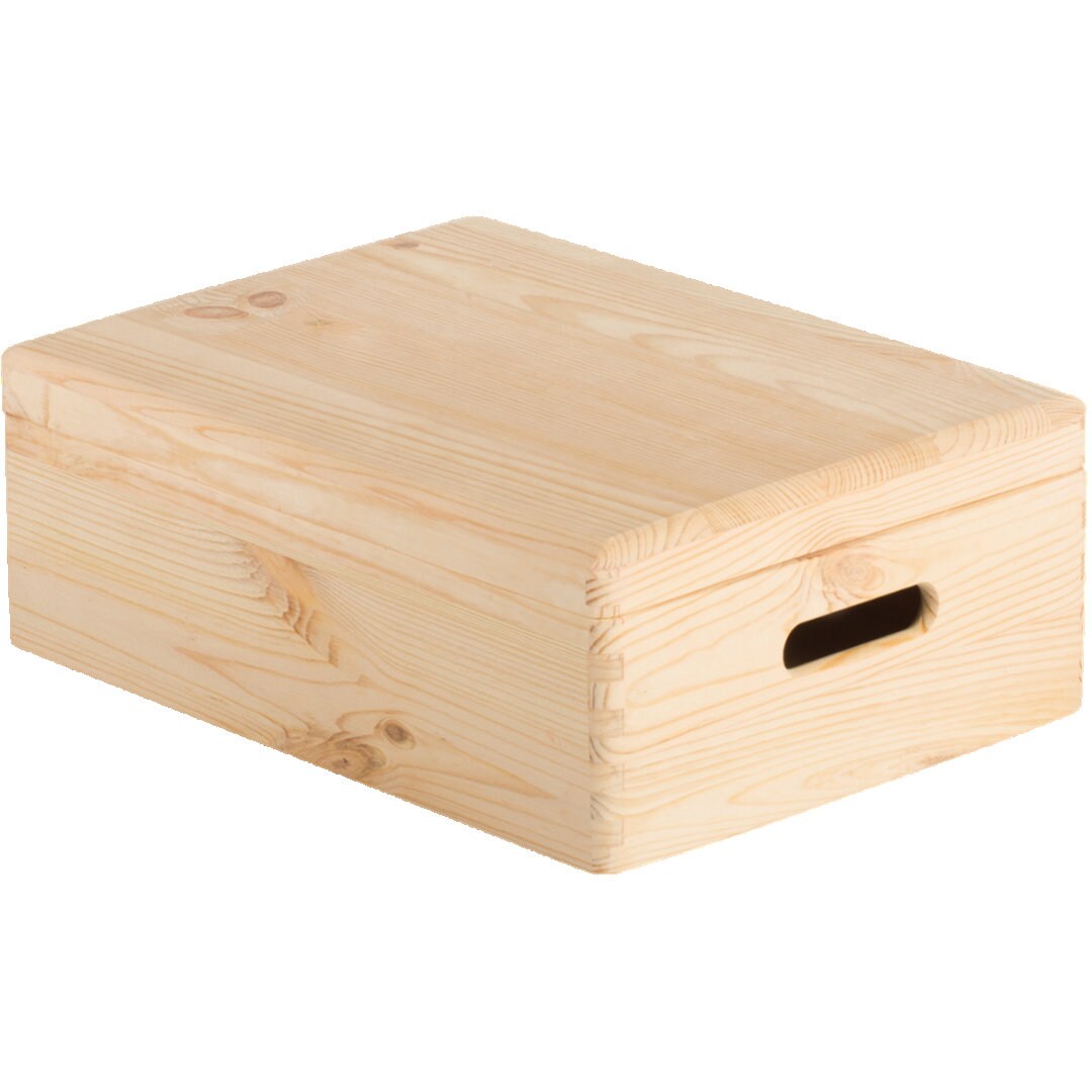 Cartelline Portadocumenti A4 In Plastica - Set 12 Pezzi Multicolore Per Ufficio - Foto 8