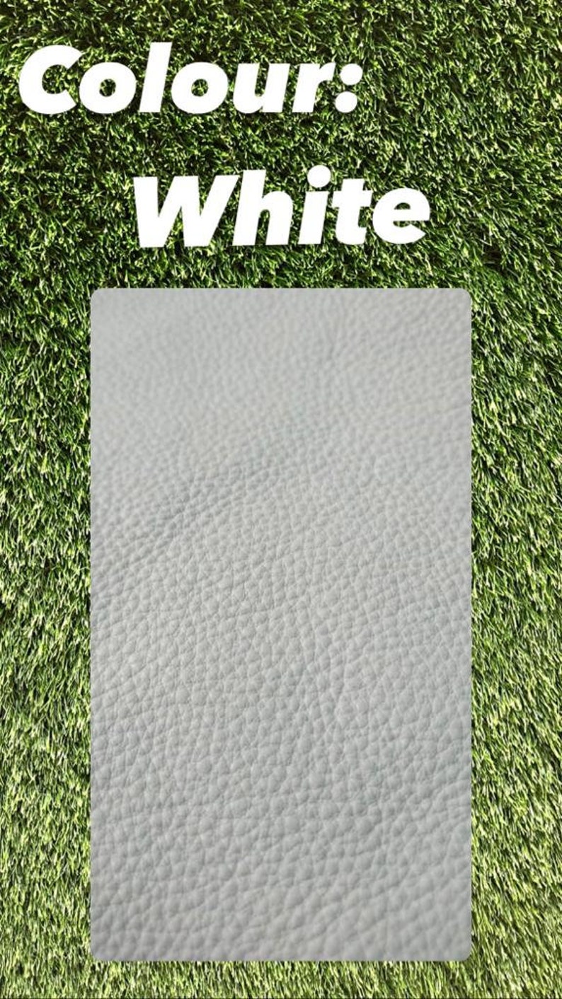 May include: Close-up of a white leather texture. The leather has a pebbled surface.