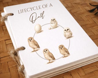Montessori Animal Plant Lifecycle Flashcards | Science Biology Learning Activity (Digital Download)