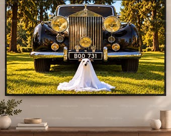 Puede incluir: Un coche de lujo negro antiguo con una prominente parrilla cromada y faros amarillos aparcado en un césped. Un perro pequeño está cubierto con una sábana blanca como un fantasma frente al vehículo, que muestra la matrícula B00 731.