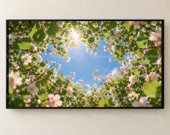 Puede incluir: Un cuadro rectangular que muestra una vista en contrapicado de ramas de árboles llenas de flores de color rosa claro y blanco contra un cielo azul brillante, con el sol brillando a través de las hojas y flores creando un efecto de destello.