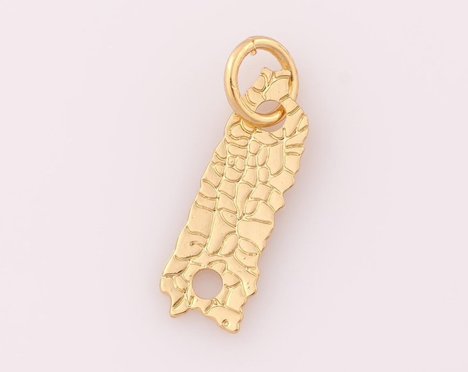 1 pcs Gold Puerto Rico Map Pendant,18K Gold Filled Map Charm,Puerto Rico Map Charm DIY Bracelet Necklace Jewelry Making Findings Supply