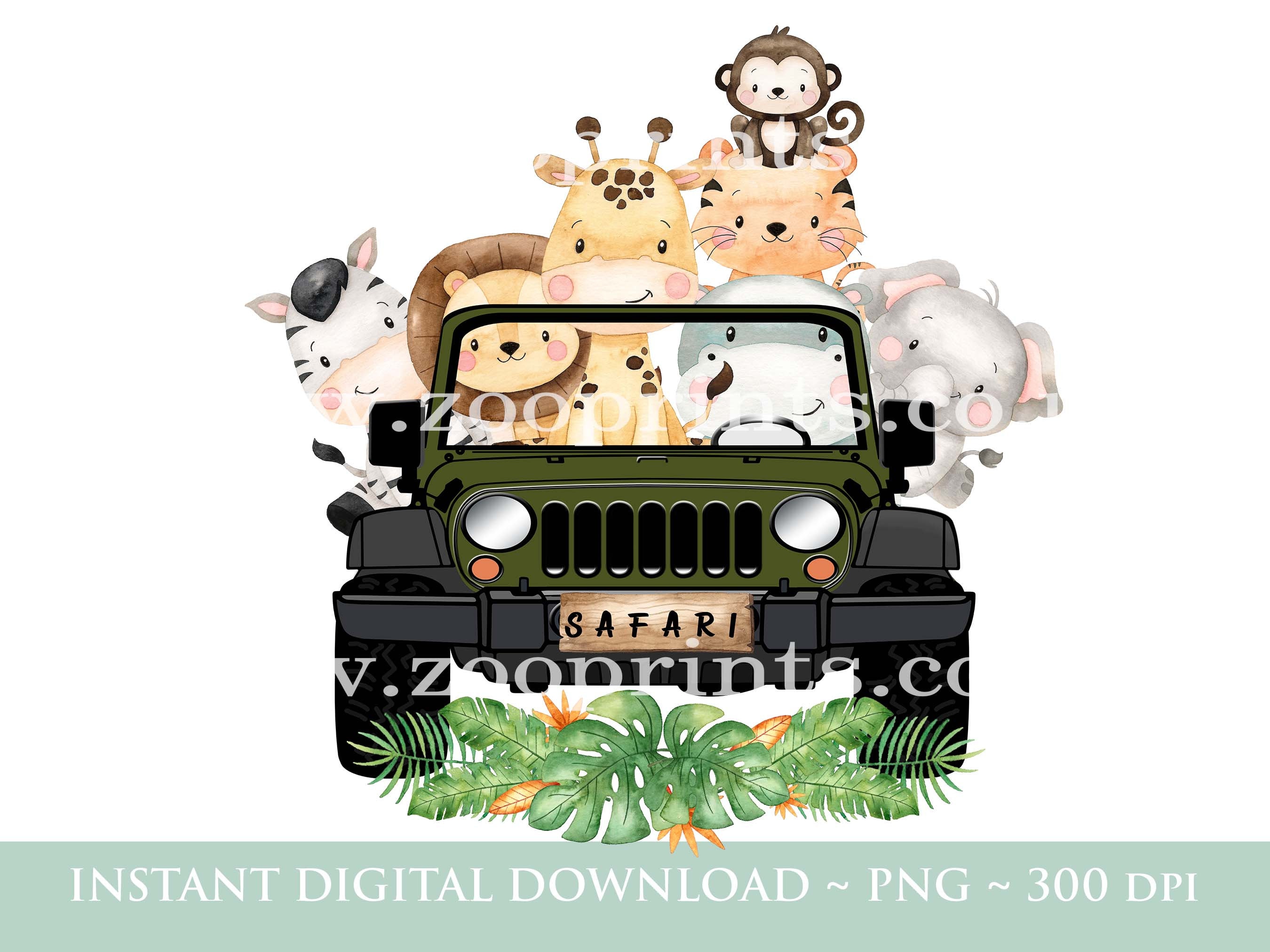 safari-car