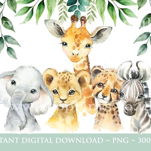 PNG Tropical Jungle Safari Animals Car, Kids Sublimation, Baby Shower Invite Clipart, Jungle Birthday Decor, Baby Animals Cake Topper