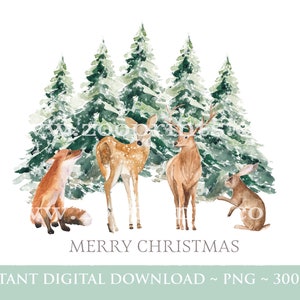 Winter Waldtiere PNG, WaldTiere Clip Art, Weihnachten Sublimation Design, Digitaler Download, W85