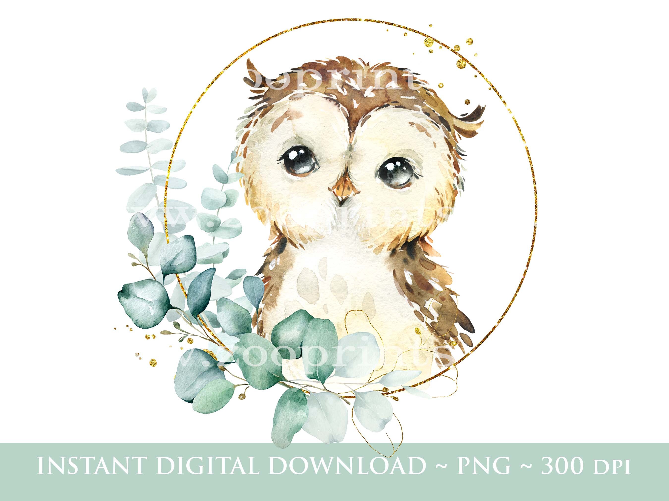 Baby Owl Green Wreath PNG, Woodland Birthday Party Clipart, Owl Sublimation, Baby Owl Birthday Card