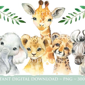 PNG Tropischer Dschungel Safari Tiere Auto, Kinder Sublimation, Baby Shower Invite Clipart, Dschungel Geburtstag Dekor, Baby Tiere Cake Topper