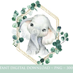 Baby Elephant Aquarelle Vert Eucalyptus Floral PNG, Aquarelle Éléphant, Anniversaire Sublimation Design, Jungle, Safari, Téléchargement numérique,W39