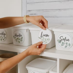 Editable Botanical Name Labels | Round Classroom Labels | Teacher Trolley & Organisation Stickers | Modern Classroom Decor | Digital Downloa