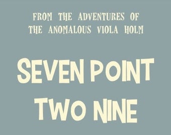 7 Point 29 eBook