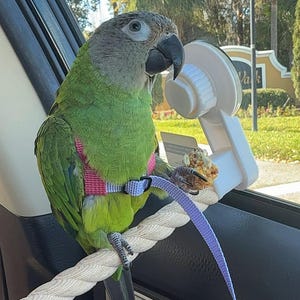 Handmade EZ-On Parrot Harness with Detachable Leash: Lightweight Stainless Steel Hardware image 7