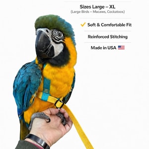 May include: A blue and yellow macaw wearing a yellow and teal harness. The harness is attached to a yellow leash. Text on the image reads "Ez-On Parrot Harness" and "Sizes Large - XL". The harness is designed for large birds such as macaws and cockatoos.