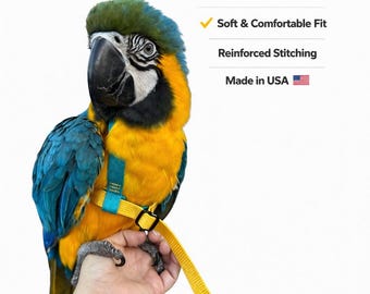Handmade Parrot Harness, Leash: Lightweight Stainless Steel - Large/XLarge