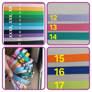 May include: A collection of nylon webbing straps in various solid colours, numbered 1 through 17. The straps feature adjustable plastic sliders and metal D-rings, with some labels reading EZ-On. The colours include pink, yellow, green, blue, purple, grey, black, orange, and lime.