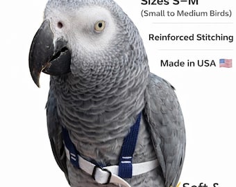 Harnais pour perroquet fait main EZ-On avec laisse élastique : matériel léger en acier inoxydable
