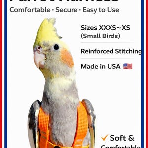 Handmade EZ-On Parrot Harness with Detachable Leash: Lightweight Stainless Steel Hardware image 1